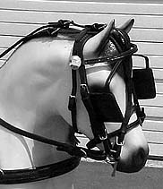 Deluxe Leather Show Harness Headstall 24